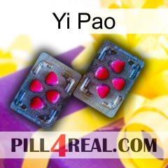 Yi Pao 15